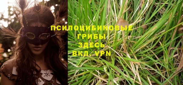 эйфоретик Верхний Тагил
